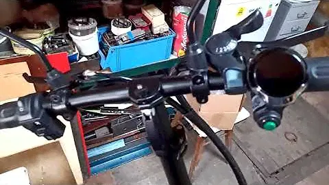 syccyba h1