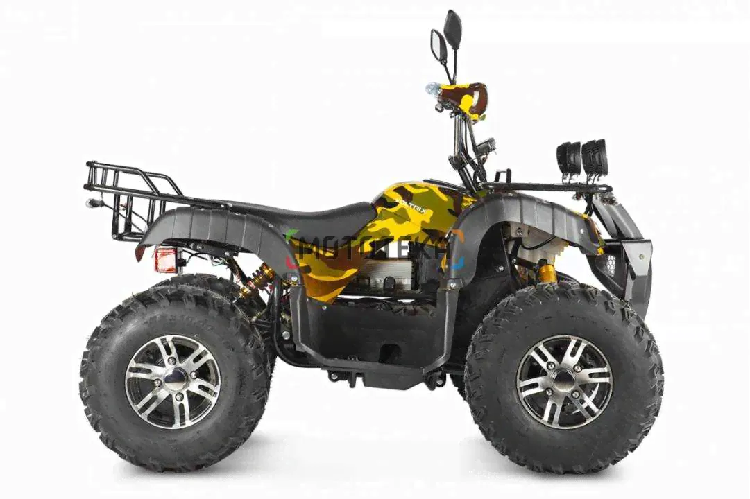 Электроквадроцикл Voltrix (Волтрикс) Raider Dual Motor 60V4000W (машинокомплект)-0
