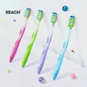 Зубная щетка, Reach, Dual effect массаж дёсен средней жесткости