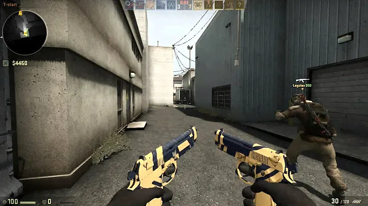 CSGO : Dual Berettas | Marina