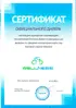 Электровелосипед Wellness CITY DUAL 700w
