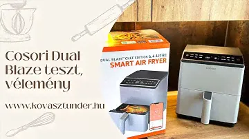 🍥 Проверено: Cosori Dual Blaze Smart Air Fryer