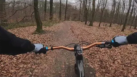 TREK DUAL SPORT  3 GEN 5 | RIDE