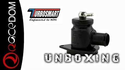 Unboxing TheTurbosmart BOV Kompact Plumb Back Hyundai Veloster TS-0203-1231