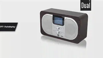 Dual DAB 100