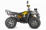 Электроквадроцикл Voltrix (Волтрикс) Raider Dual Motor 60V4000W (машинокомплект)