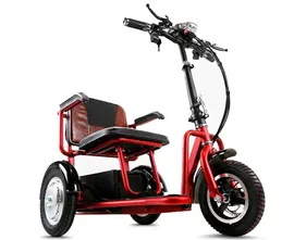 Электротрицикл TRION Navigator DUAL