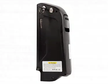 Аккумулятор BIGCAT DUAL 48V 10.4Ah (Big Cat Dual 2019)-1