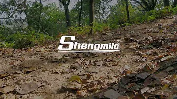 shengmilo S600  Dual motor 2000W. The best ebike ,big power ,35MPH.