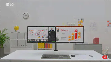 2022 | LG QHD Monitor Ergo Dual